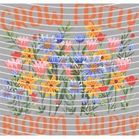 Cartoons and other-CO 1906